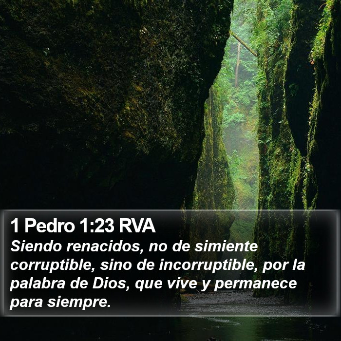 1 Pedro 1:23 RVA Bible Study