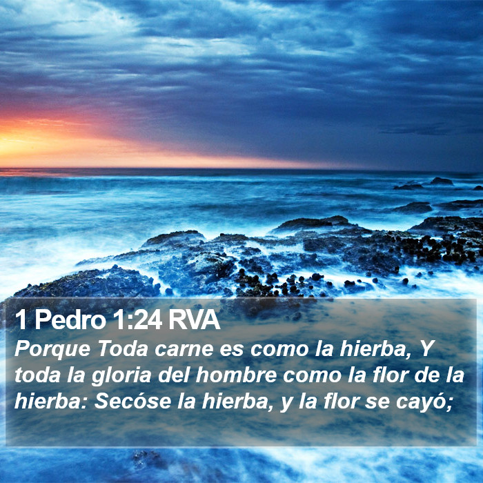 1 Pedro 1:24 RVA Bible Study