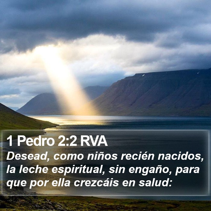 1 Pedro 2:2 RVA Bible Study