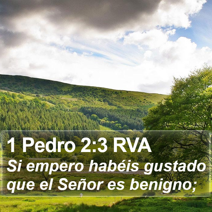 1 Pedro 2:3 RVA Bible Study