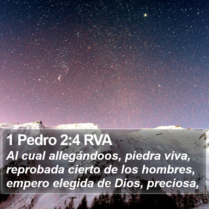 1 Pedro 2:4 RVA Bible Study