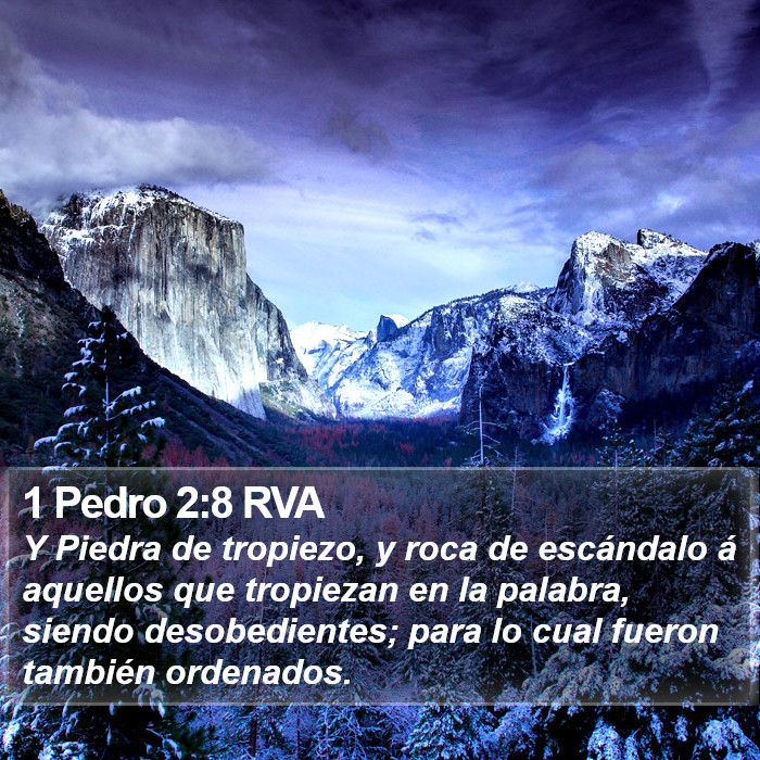 1 Pedro 2:8 RVA Bible Study