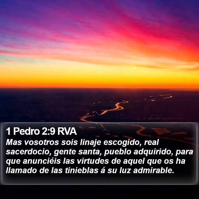 1 Pedro 2:9 RVA Bible Study