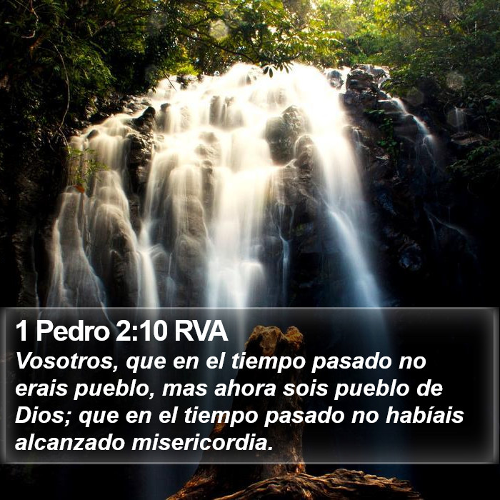 1 Pedro 2:10 RVA Bible Study