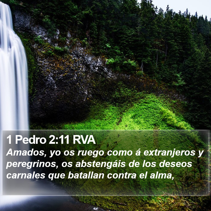 1 Pedro 2:11 RVA Bible Study