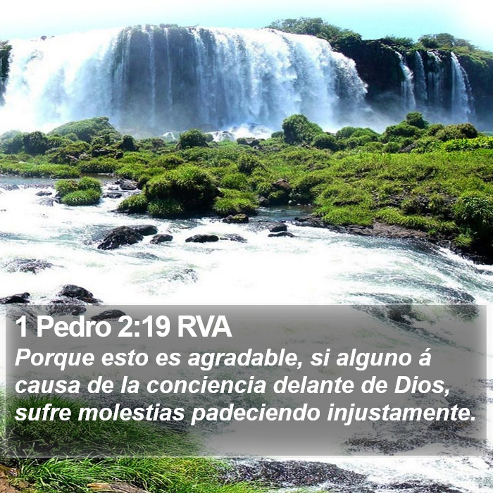 1 Pedro 2:19 RVA Bible Study