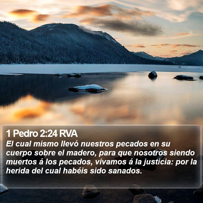 1 Pedro 2:24 RVA Bible Study