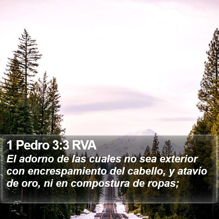 1 Pedro 3:3 RVA Bible Study