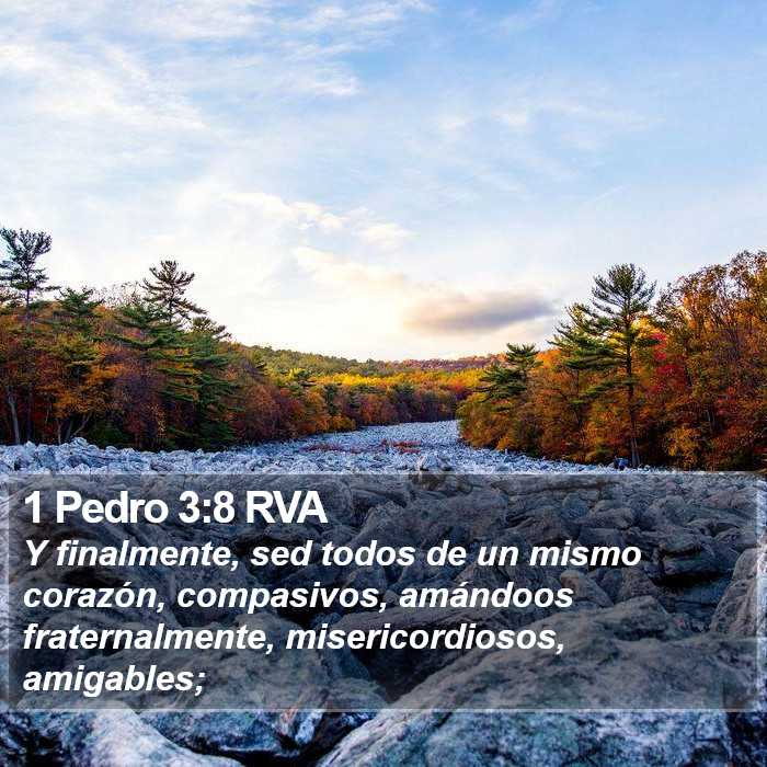 1 Pedro 3:8 RVA Bible Study