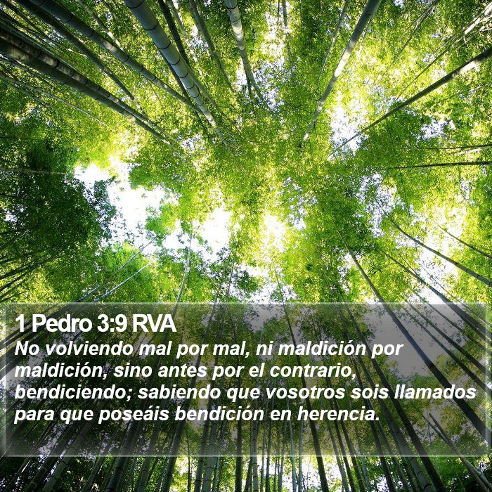 1 Pedro 3:9 RVA Bible Study