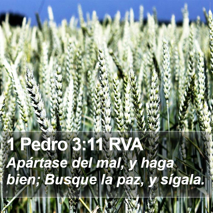 1 Pedro 3:11 RVA Bible Study