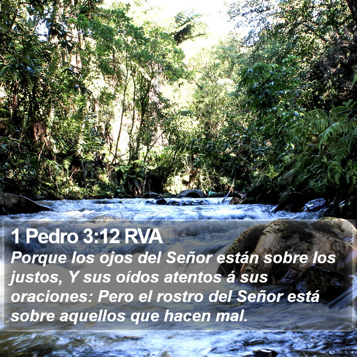 1 Pedro 3:12 RVA Bible Study