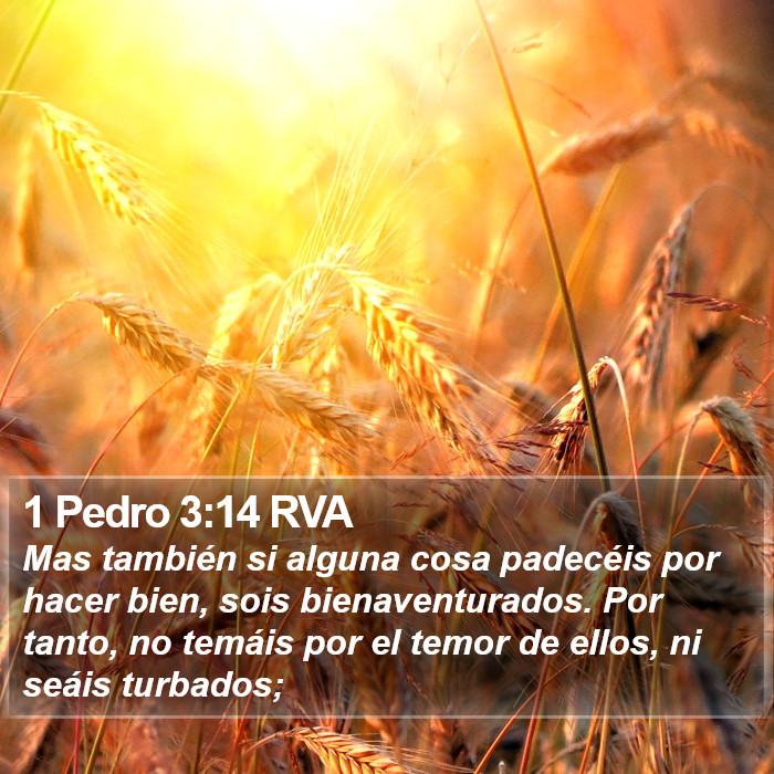 1 Pedro 3:14 RVA Bible Study