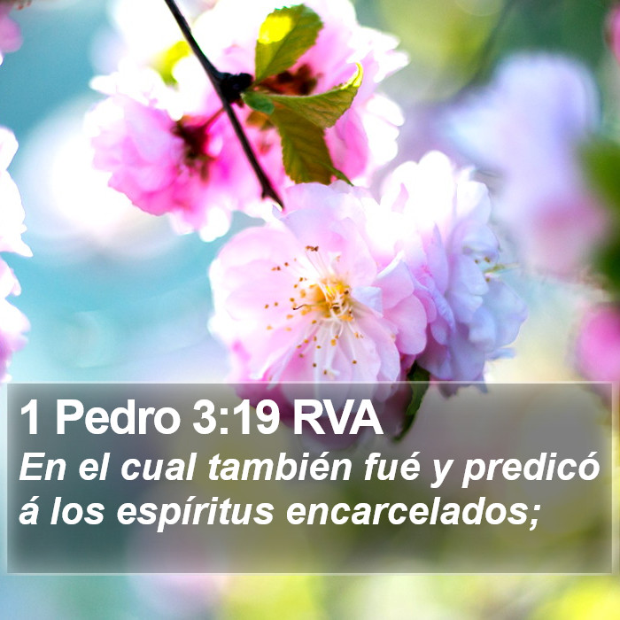 1 Pedro 3:19 RVA Bible Study