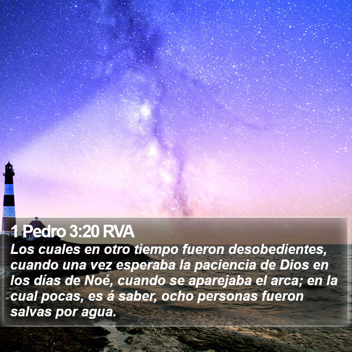 1 Pedro 3:20 RVA Bible Study