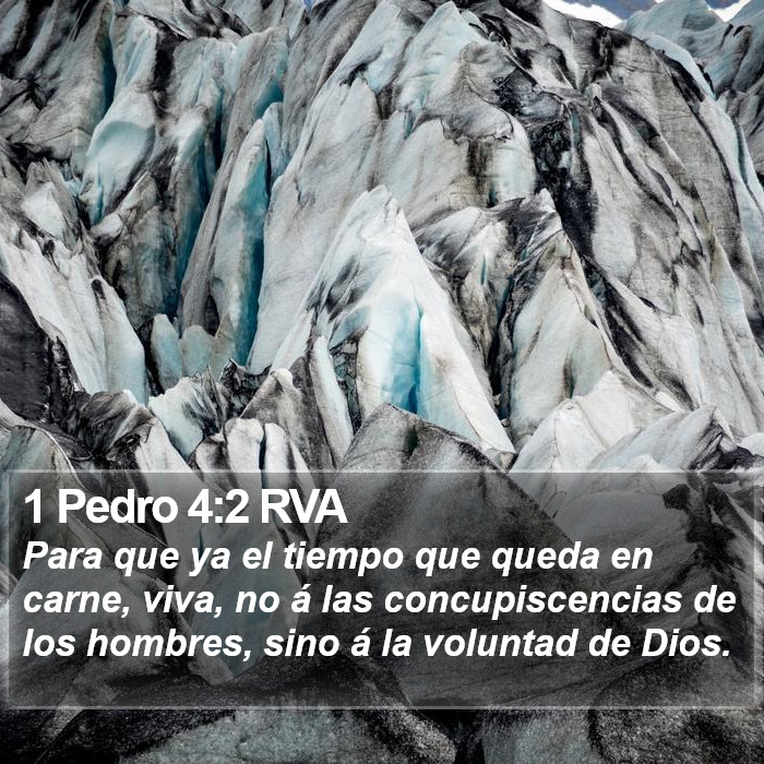 1 Pedro 4:2 RVA Bible Study