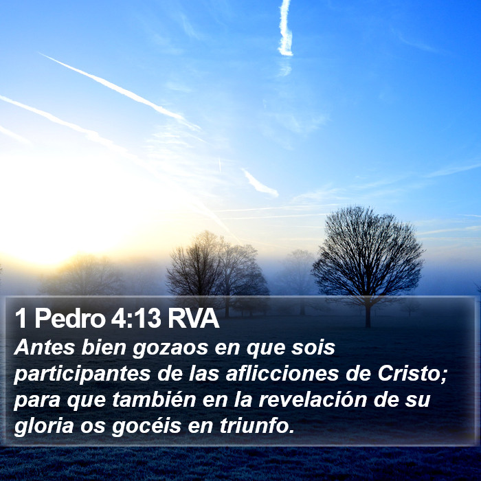 1 Pedro 4:13 RVA Bible Study