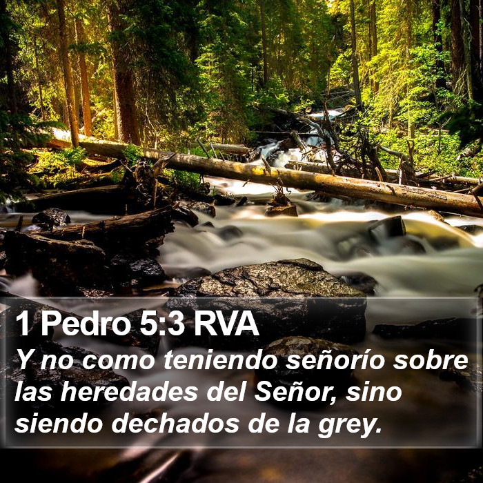 1 Pedro 5:3 RVA Bible Study