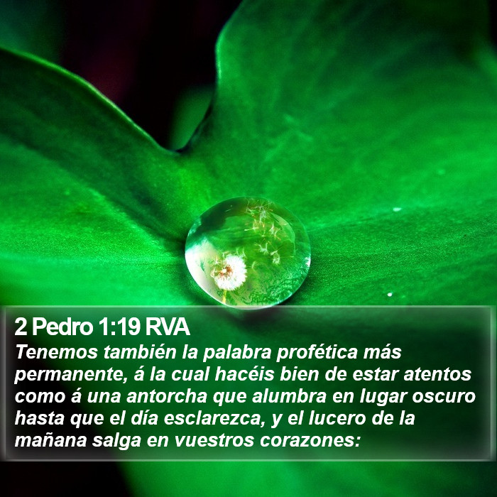 2 Pedro 1:19 RVA Bible Study