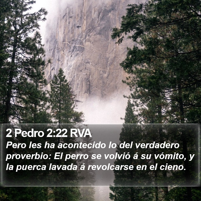 2 Pedro 2:22 RVA Bible Study