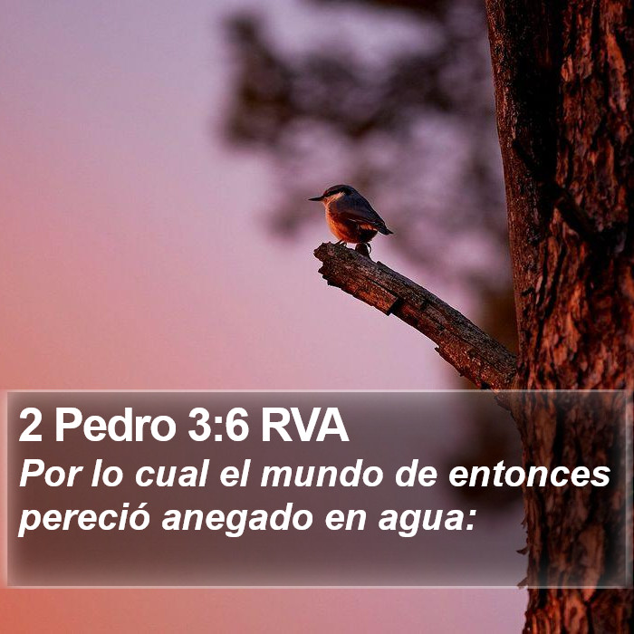 2 Pedro 3:6 RVA Bible Study