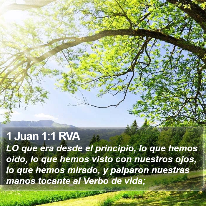 1 Juan 1:1 RVA Bible Study