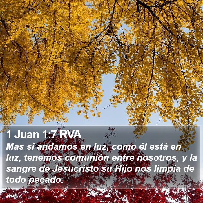 1 Juan 1:7 RVA Bible Study