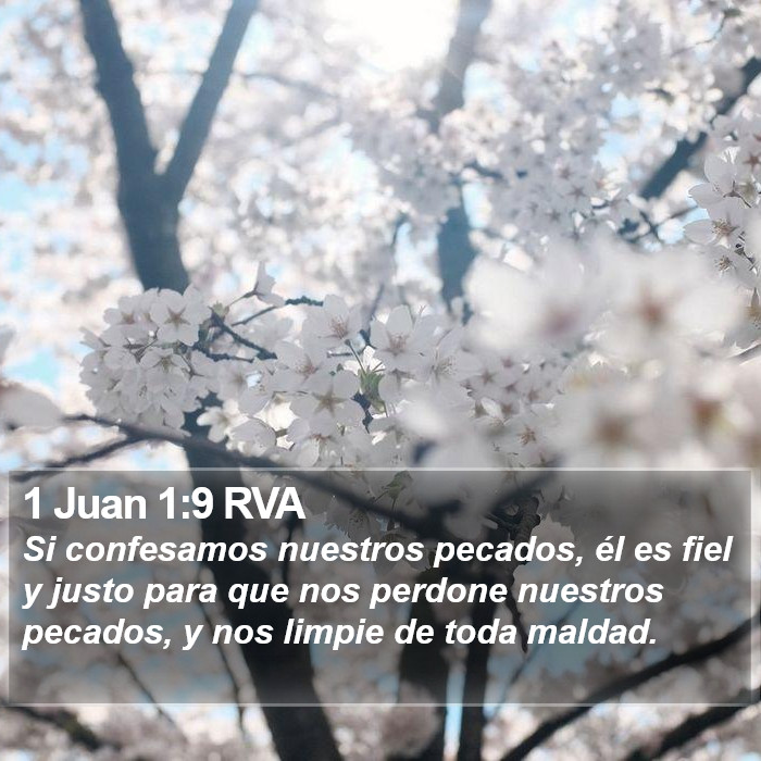 1 Juan 1:9 RVA Bible Study