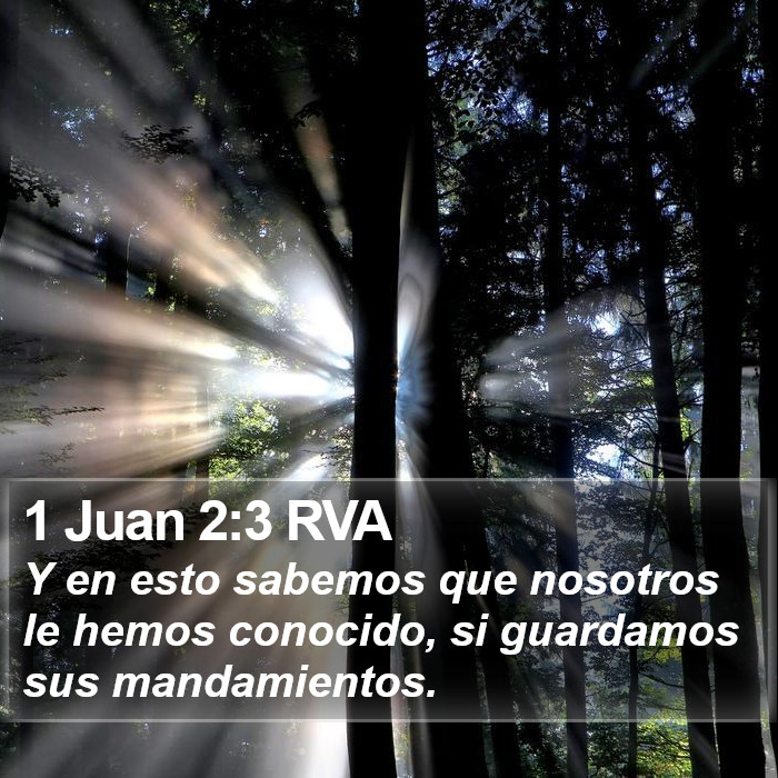 1 Juan 2:3 RVA Bible Study