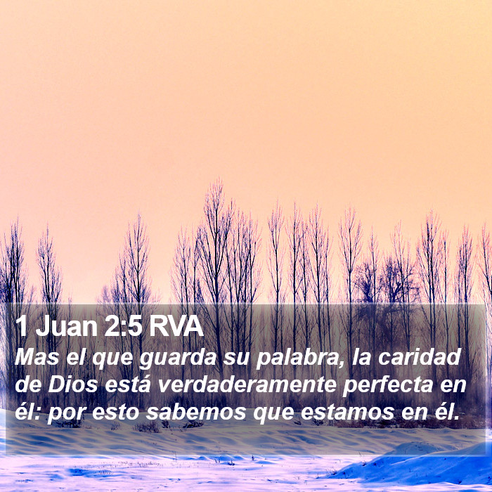 1 Juan 2:5 RVA Bible Study
