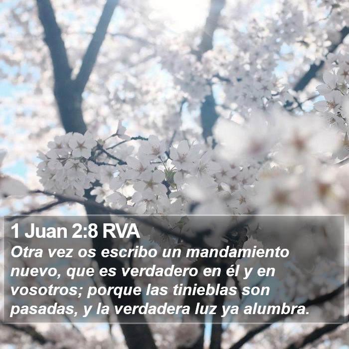 1 Juan 2:8 RVA Bible Study