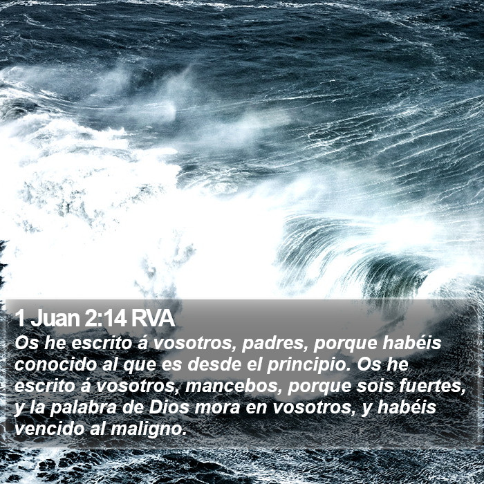 1 Juan 2:14 RVA Bible Study
