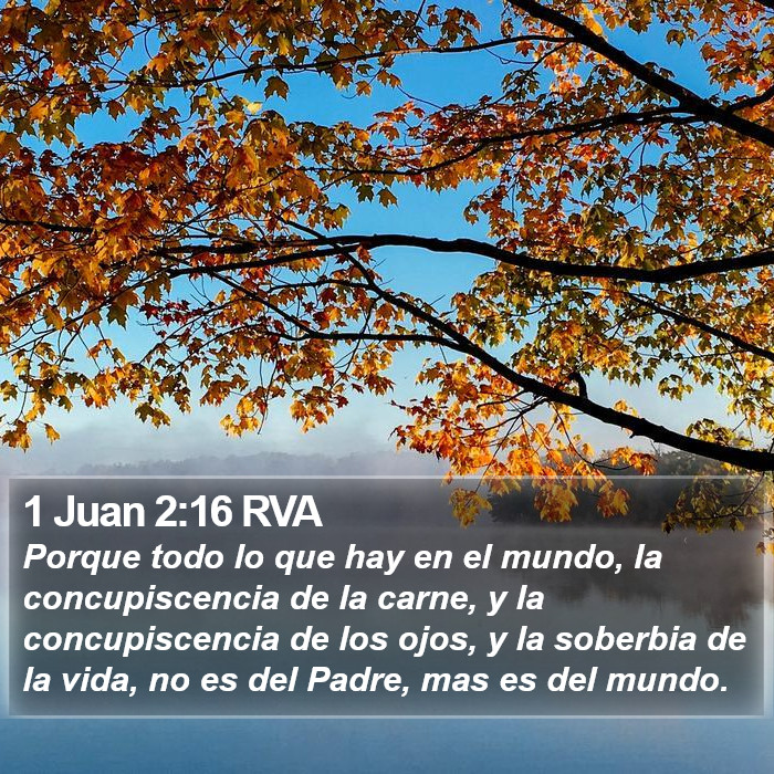 1 Juan 2:16 RVA Bible Study