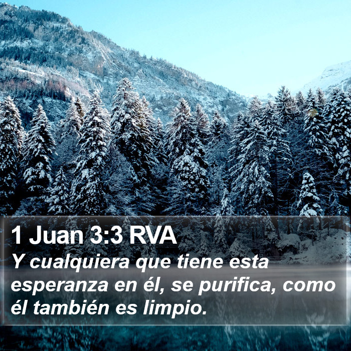 1 Juan 3:3 RVA Bible Study