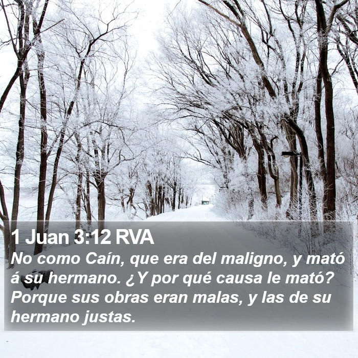 1 Juan 3:12 RVA Bible Study