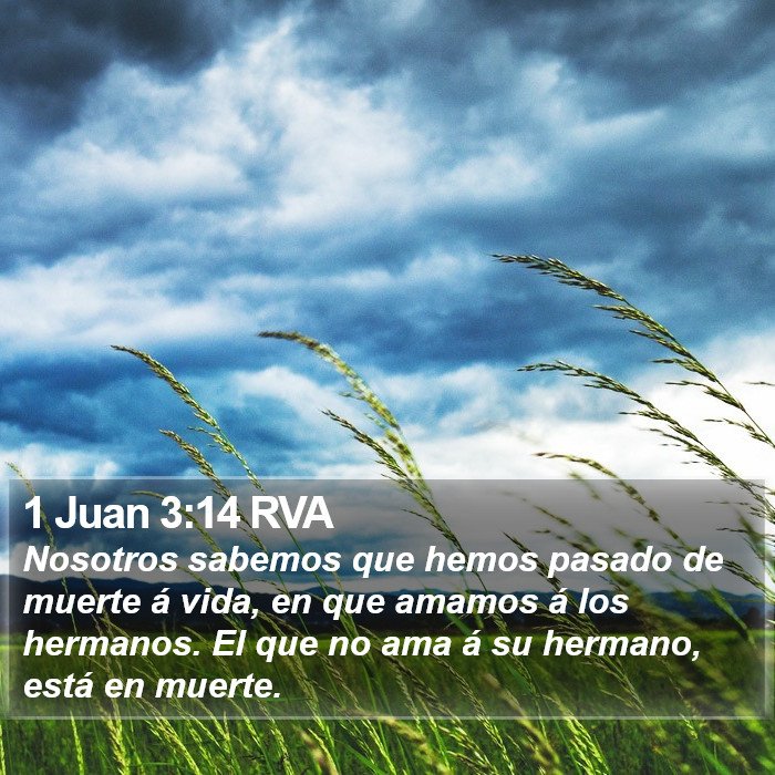 1 Juan 3:14 RVA Bible Study