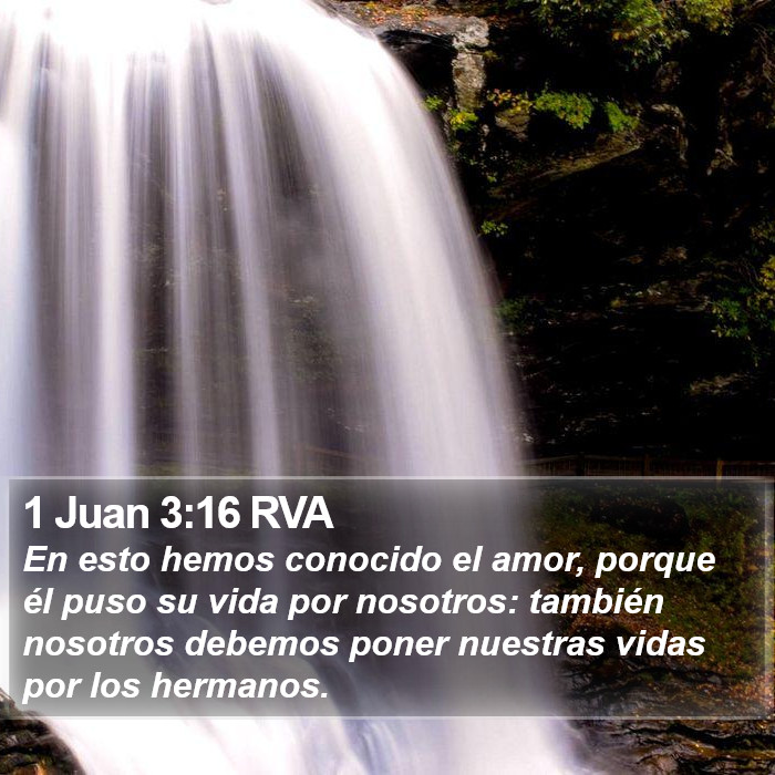 1 Juan 3:16 RVA Bible Study