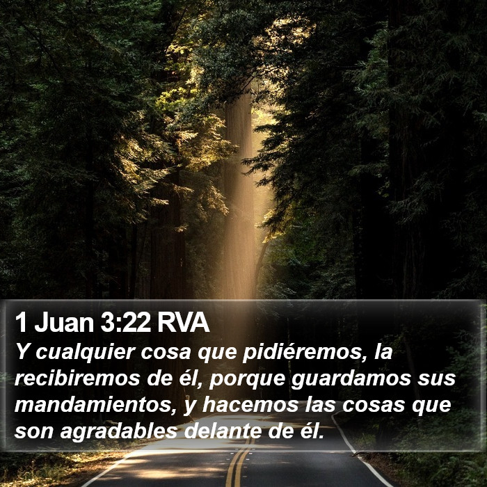 1 Juan 3:22 RVA Bible Study