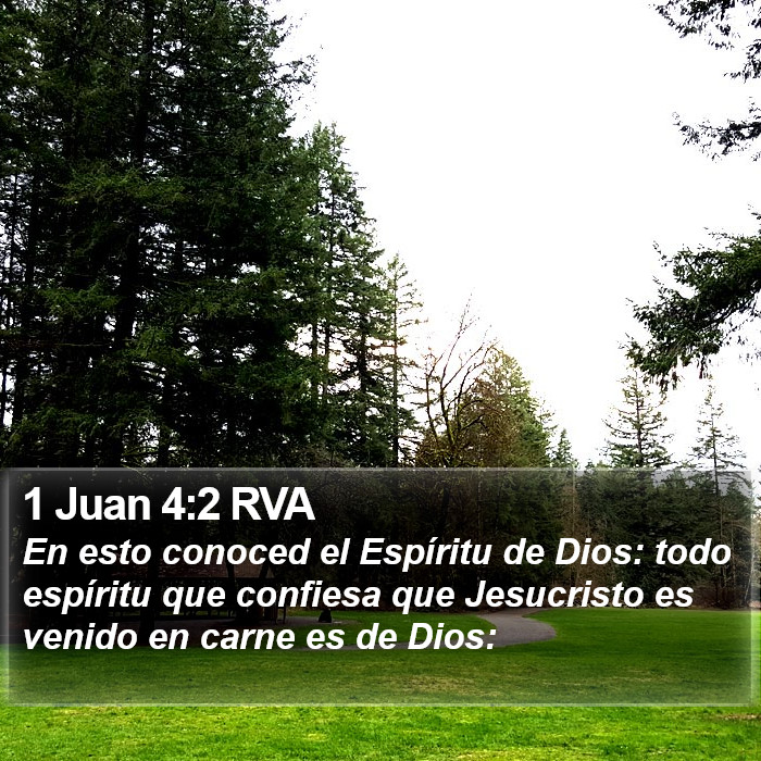 1 Juan 4:2 RVA Bible Study