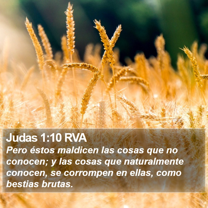 Judas 1:10 RVA Bible Study