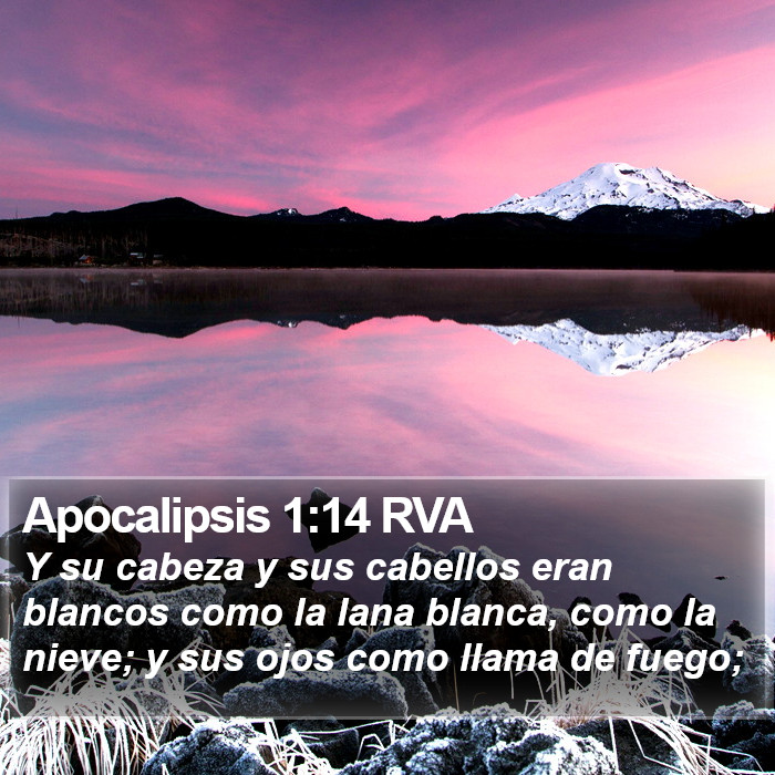 Apocalipsis 1:14 RVA Bible Study