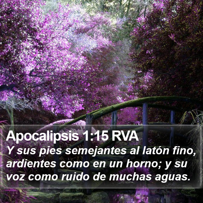 Apocalipsis 1:15 RVA Bible Study