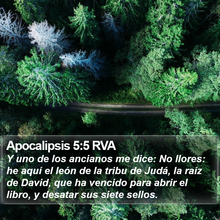 Apocalipsis 5:5 RVA Bible Study