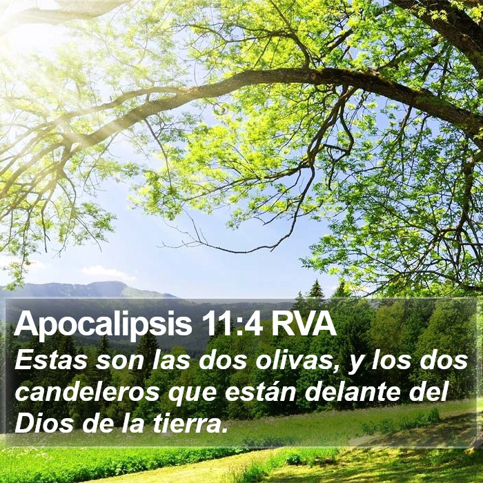 Apocalipsis 11:4 RVA Bible Study