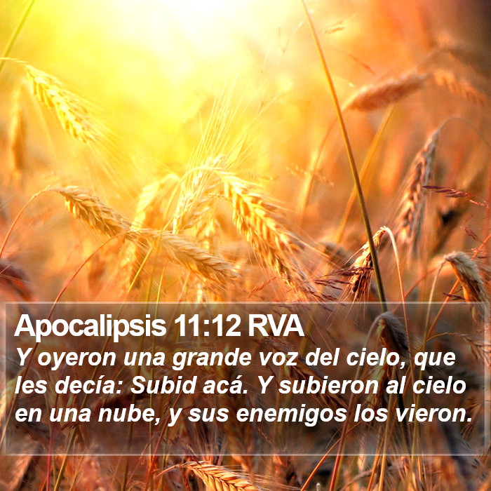 Apocalipsis 11:12 RVA Bible Study