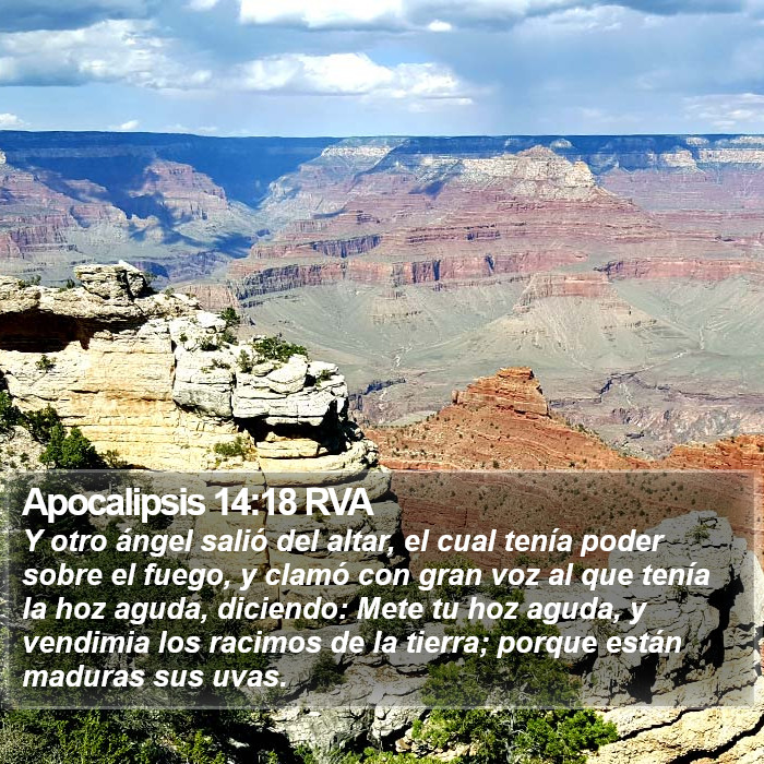 Apocalipsis 14:18 RVA Bible Study